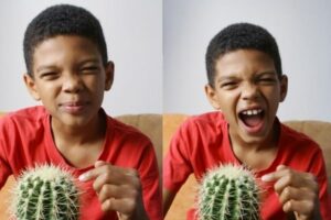 hooggevoelig kind sterke wil of ADHD